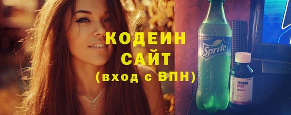 метамфетамин Ельня