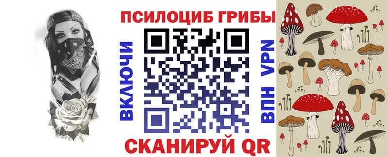 Купить где  Заинск  Псилоцибиновые грибы MAGIC MUSHROOMS 