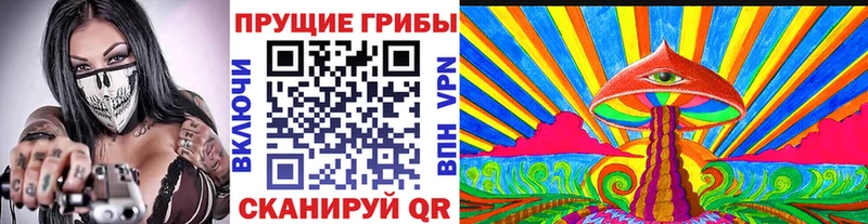 Псилоцибиновые грибы Psilocybine cubensis Заинск